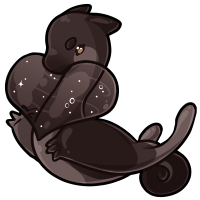 Choco